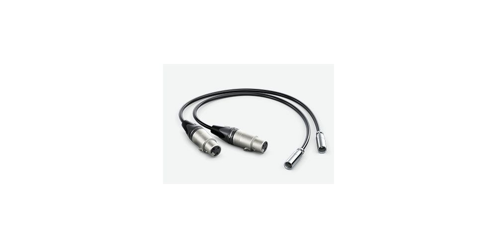 Cables Mini XLR a XLR hembra 50 cm (2 x unidades)